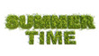 Summer time 3d grass test Summer time 3d grass test