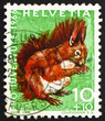 Postage stamp Switzerland 1966 Red Squirrel, Sciurus Vulgaris