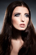 beauty portrait beauty portrait