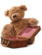Photo: teddy bears picnic teddy bears picnic