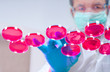 Photo: Scientist works with cultured cells Scientist works with cultured cells