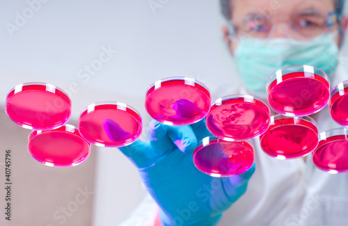Photo: Scientist works with cultured cells Scientist works with cultured cells