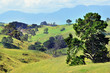 Hobbiton Movie Set and Farm