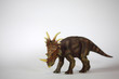 Dinosaur Triceratops