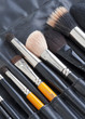 set of professional make-up artist brushes set of professional make-up artist brushes