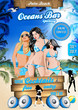 Beach Party Flyer