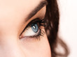 close-up portrait