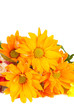 orange flowers