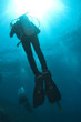 Photo: Silouetted scuba diver Silouetted scuba diver