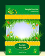 Frame with grass and field flowers for presentation