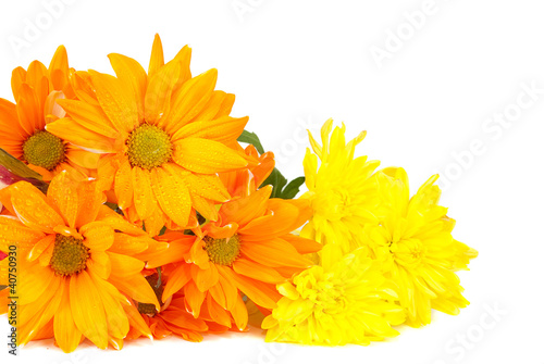 Photo: orange flowers orange flowers