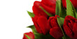 red tulips
