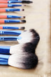 Set of make-up brushes in golden leather case close up