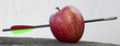 the arrow in the apple