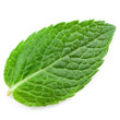 fresh mint leaves isolated on white background. Studio macro