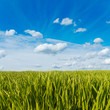 green grass under cloudy sky green grass under cloudy sky