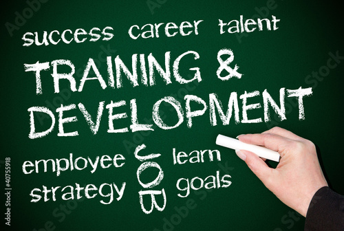Illustration: Training and Development Training and Development