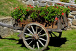 caretto antico con fiori