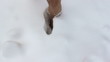 Video: Walking barefoot on snow Walking barefoot on snow
