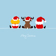 Santa, Angel & Reindeer Santa´s Hat Blue