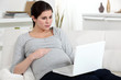 Pregnant brunette browsing the Internet