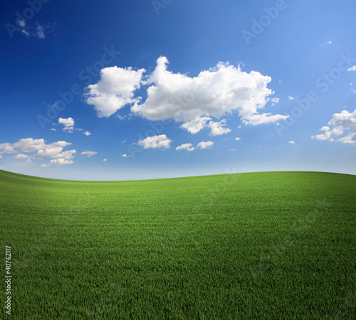 Photo: Lush green grass and a cool blue sky Lush green grass and a cool blue sky
