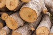 Firewood