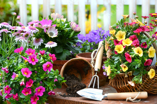 Photo: Garten Garten