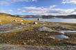 Hardangervidda, Norway