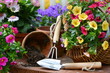 Gartenarbeit