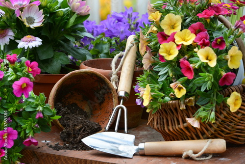 Foto: Gartenarbeit Gartenarbeit