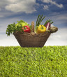 Basket with vegetables