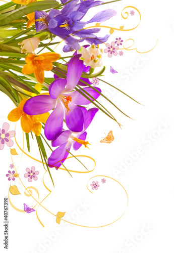 Photo: floral background floral background