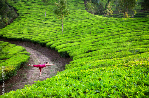Photo: Yoga warrior pose in tea plantations Yoga warrior pose in tea plantations