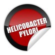 button aufgedreht helicobcacter pylori 1