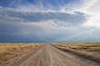 african road3