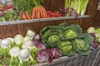 summer fruit-vegetables-vegetables shop summer fruit-vegetables-vegetables shop
