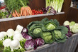 summer fruit-vegetables-vegetables shop summer fruit-vegetables-vegetables shop