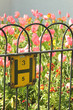 Green metal fence with pink tulips Green metal fence with pink tulips