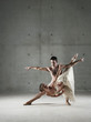 Ballet dancers posing together