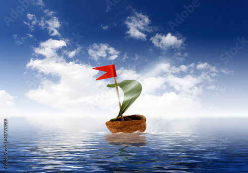 Foto: Nutshell ship with green leaf sail Nutshell ship with green leaf sail