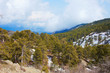 cyprus in the spring