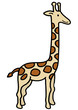 girafe