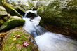 Waterfall and stream