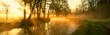 Fog rolling through rural landscape