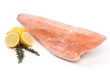 Frozen salmon fish fillet isolated on white Frozen salmon fish fillet isolated on white