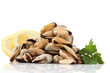 Pile of raw mussels over white Pile of raw mussels over white