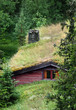 swedish cottage swedish cottage