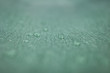 Close up of dew drops on leaf