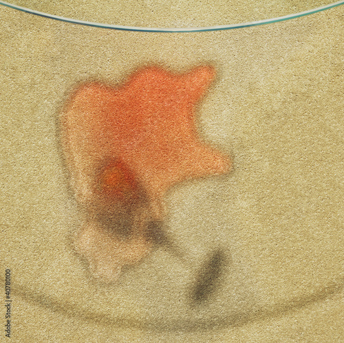 Foto: Spill on glass table reflected into carpet Spill on glass table reflected into carpet
